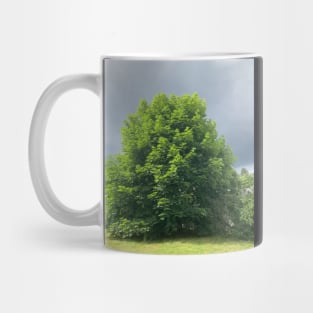 Maple tree with Ominous Background Mug